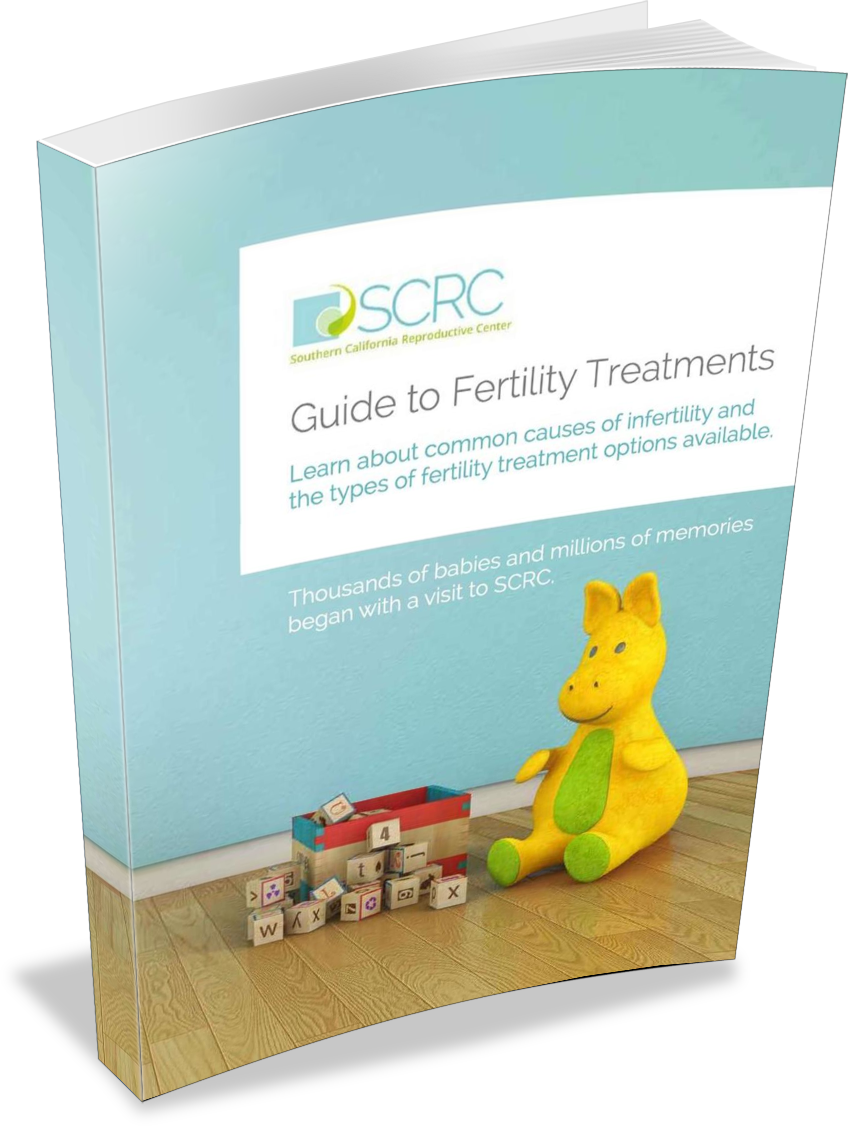 scrc fertility treatmen ebook cover-1.png